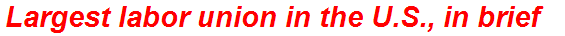 Largest labor union in the U.S., in brief