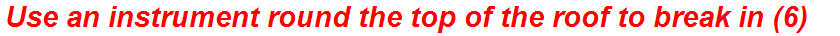 Use an instrument round the top of the roof to break in (6)