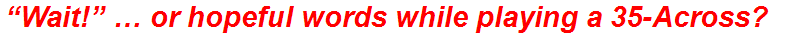 “Wait!” … or hopeful words while playing a 35-Across?