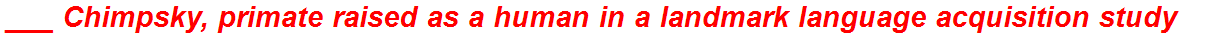 ___ Chimpsky, primate raised as a human in a landmark language acquisition study