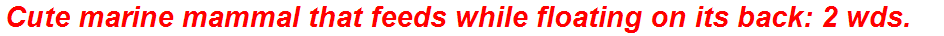 Cute marine mammal that feeds while floating on its back: 2 wds.