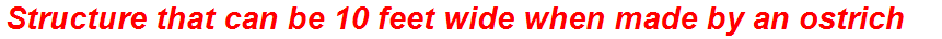 Structure that can be 10 feet wide when made by an ostrich