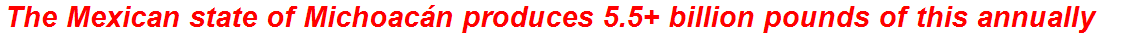 The Mexican state of Michoacán produces 5.5+ billion pounds of this annually