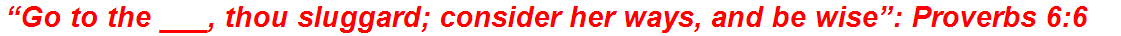 “Go to the ___, thou sluggard; consider her ways, and be wise”: Proverbs 6:6
