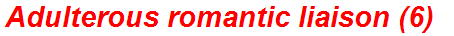 Adulterous romantic liaison (6)