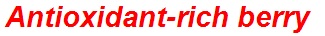 Antioxidant-rich berry
