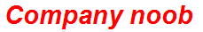 Company noob