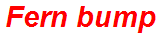 Fern bump