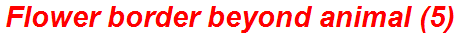 Flower border beyond animal (5)