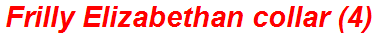 Frilly Elizabethan collar (4)
