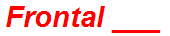 Frontal ___