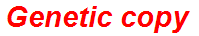 Genetic copy
