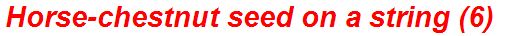 Horse-chestnut seed on a string (6)