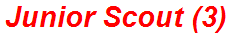 Junior Scout (3)