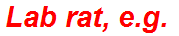 Lab rat, e.g.