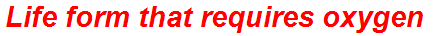 Life form that requires oxygen