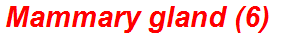 Mammary gland (6)