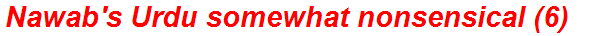 Nawab's Urdu somewhat nonsensical (6)