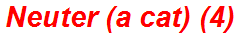 Neuter (a cat) (4)
