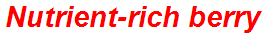 Nutrient-rich berry