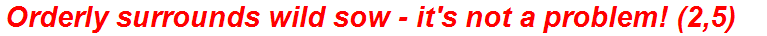 Orderly surrounds wild sow - it's not a problem! (2,5)