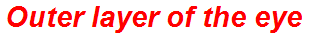 Outer layer of the eye