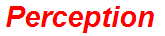 Perception