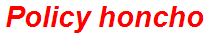 Policy honcho