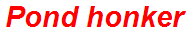Pond honker