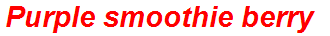Purple smoothie berry