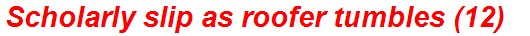Scholarly slip as roofer tumbles (12)