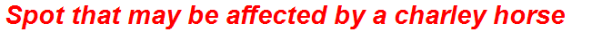 Spot that may be affected by a charley horse