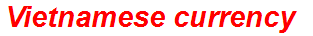 Vietnamese currency