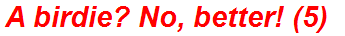 A birdie? No, better! (5)