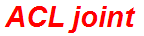ACL joint