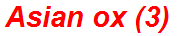 Asian ox (3)