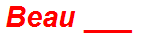 Beau ___