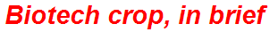 Biotech crop, in brief