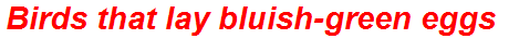 Birds that lay bluish-green eggs