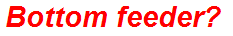 Bottom feeder?