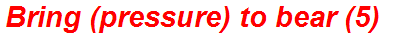 Bring (pressure) to bear (5)