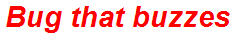 Bug that buzzes