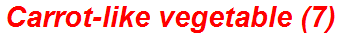 Carrot-like vegetable (7)