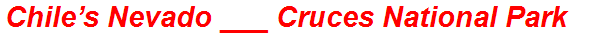 Chile’s Nevado ___ Cruces National Park
