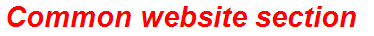 Common website section