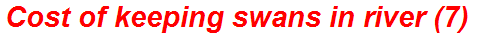 Cost of keeping swans in river (7)