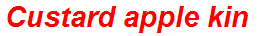 Custard apple kin