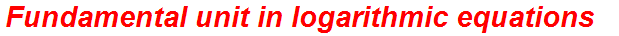 Fundamental unit in logarithmic equations