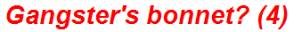 Gangster's bonnet? (4)