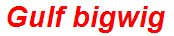 Gulf bigwig
